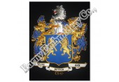 Coat of Arms Family Crests